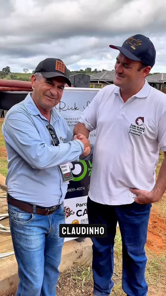 Cavalo puro-sangue em campo aberto com médico veterinário realizando ultrassonografia.